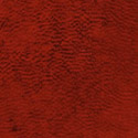 Lacquer Red