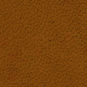 Light Tan